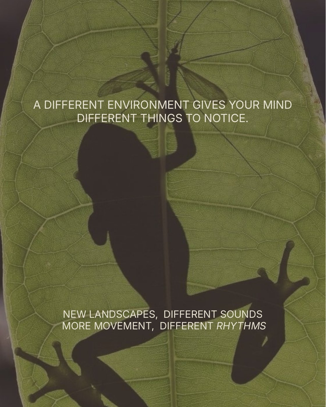 Your Environment, slide 3 of 10