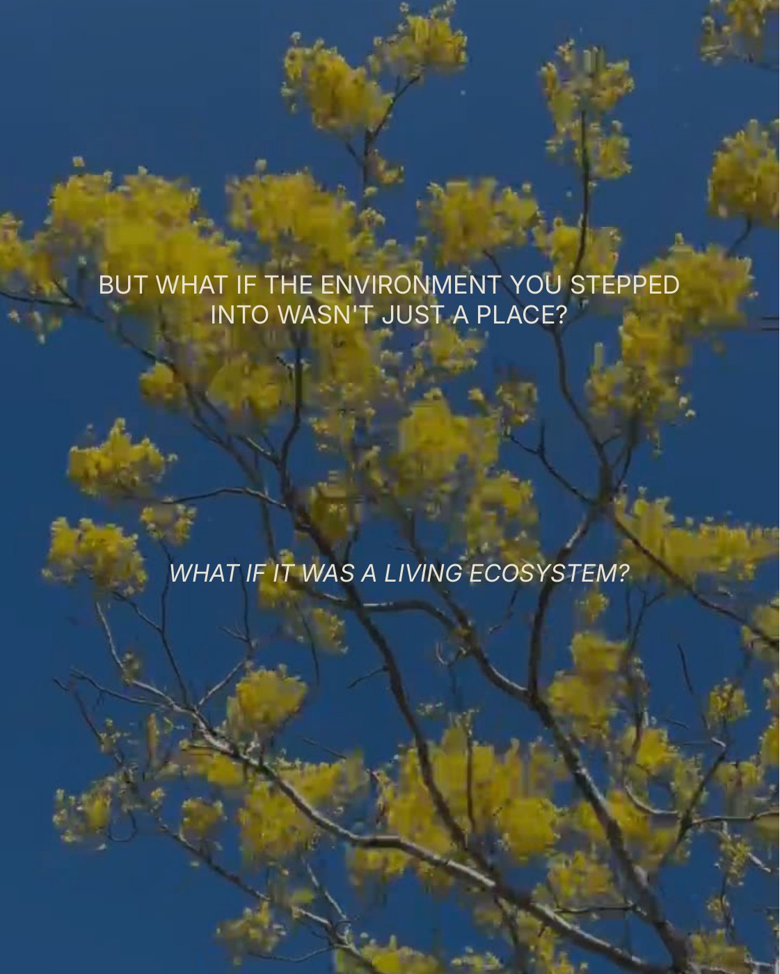 Your Environment, slide 4 of 10