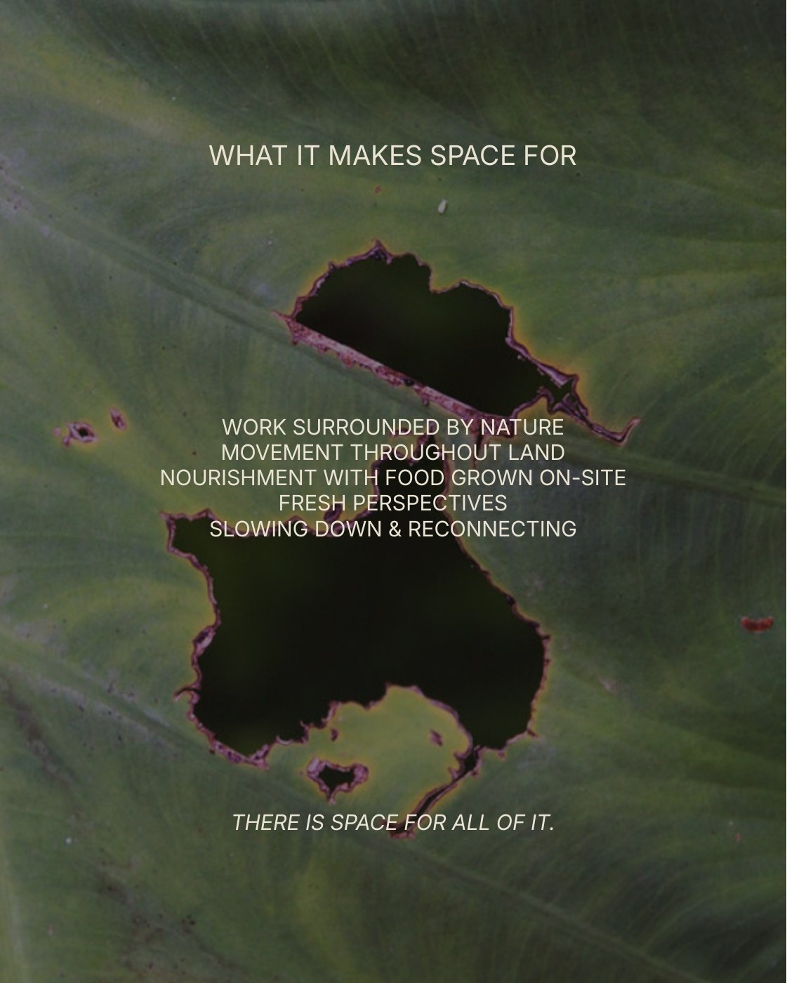 Your Environment, slide 7 of 10