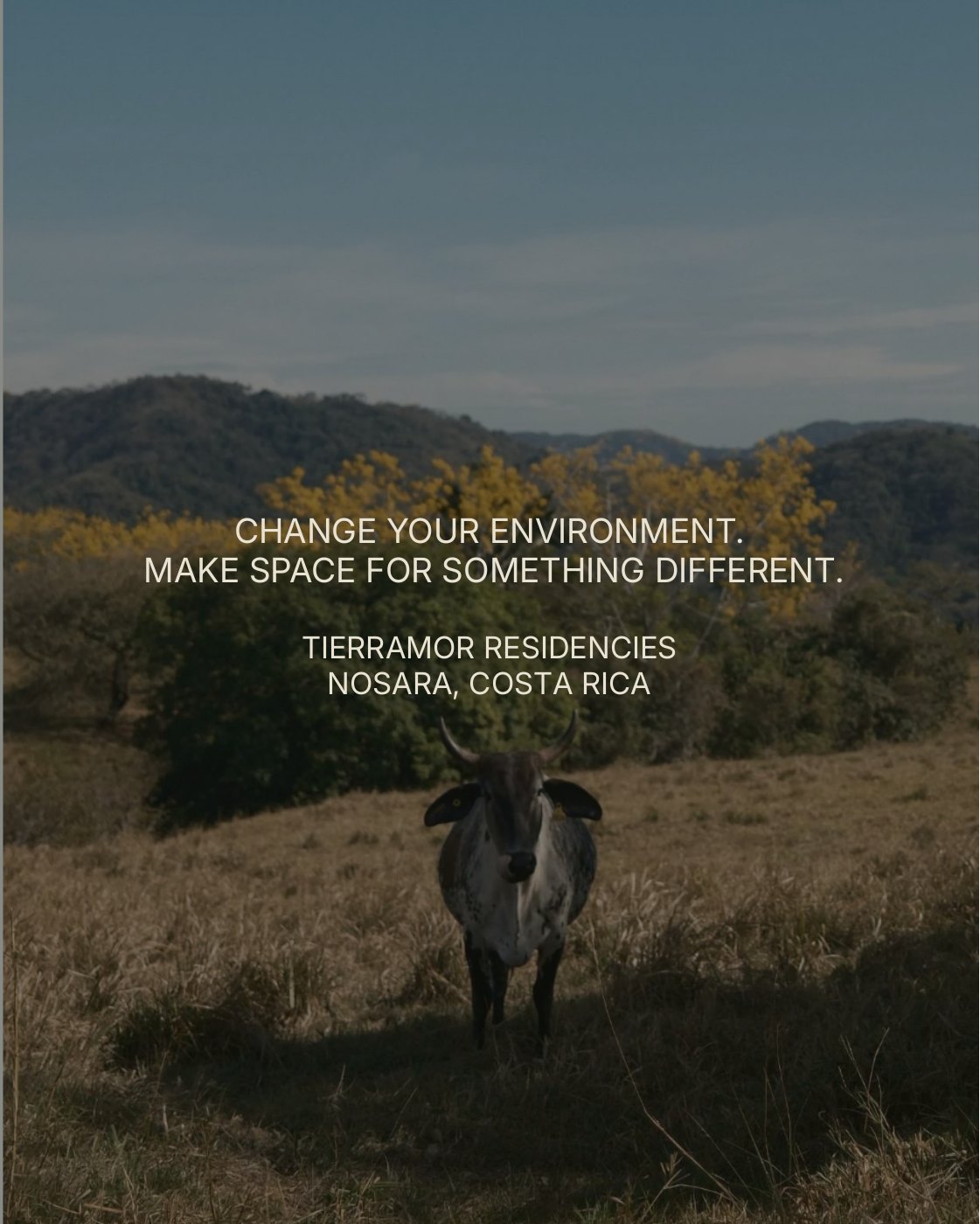 Your Environment, slide 10 of 10